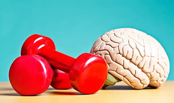 Best Supplement For Brain Health in Canada 2025